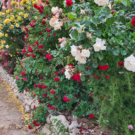 Penchevi Gasthuis 3*