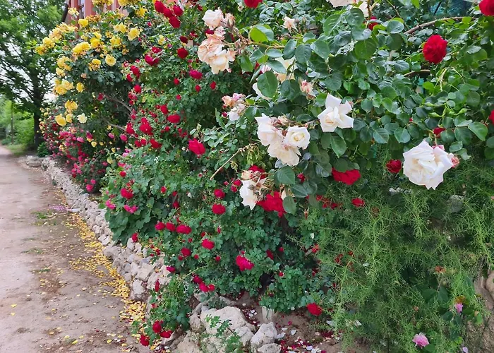 Penchevi 招待所 3*